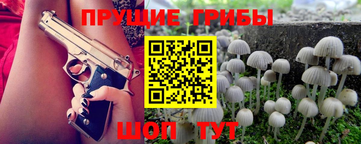 Псилоцибиновые грибы MAGIC MUSHROOMS Ногинск