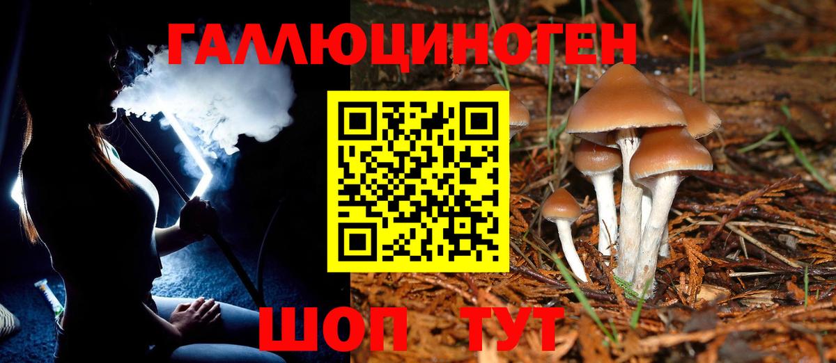 Ногинск  Галлюциногенные грибы Cubensis  Вход с VPN  Галлюциногенные грибы мухоморы 